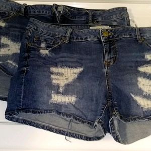 Torrid Shorts